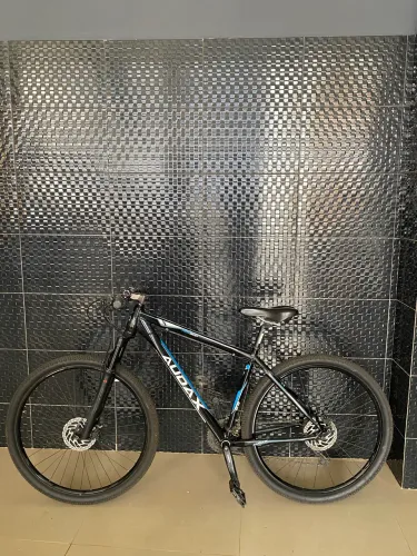 Bicicleta audax 300