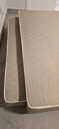 Cama de Solteiro Box Castor