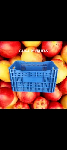 Caixa plástica Hortifruti para frutas organizadora