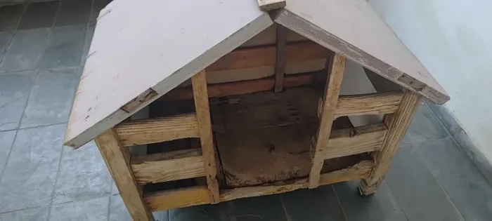 Casa pra cachorro médio.