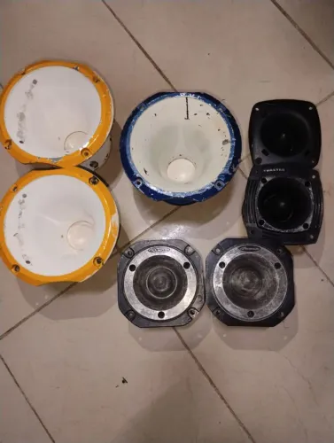 Lentes de cornetas, tuitas