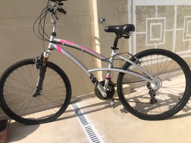 Caloi 100 Sport Feminina