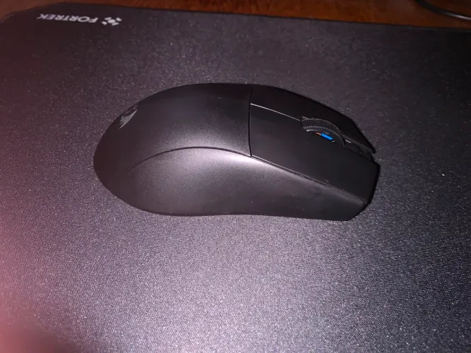 Mouse gamer
