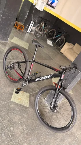 Bicicleta 29