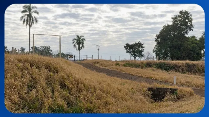 GLEBA DE TERRAS - Campos e matos, Linha Caaró - Uruquá, Fazenda Boa Vista, Caibaté/RS - Ca
