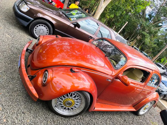 Volkswagen Fusca Fusca (gasolina) 1981