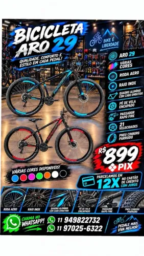 Bicicletas Aro 29