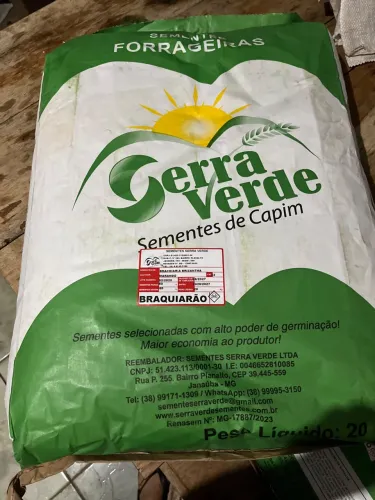 Semente de capim/ Braquiarao 