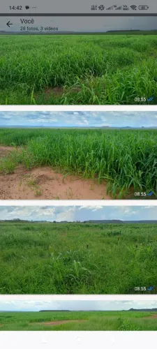 Fazenda com dívida 425.5 alqueires em Balsas MA. 45 milhões.