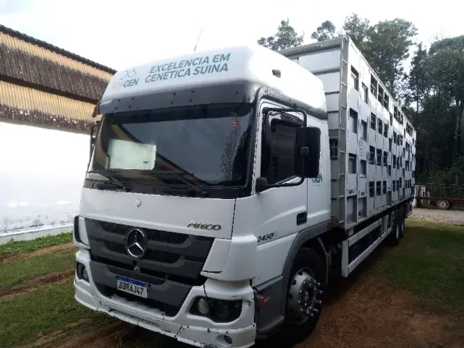 Caminhão porcadeiro - Atego 2430 