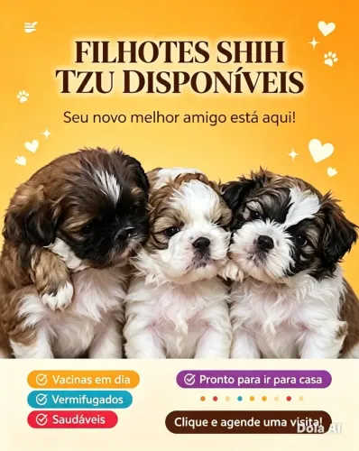 FILHOTES DE SHIH TZU