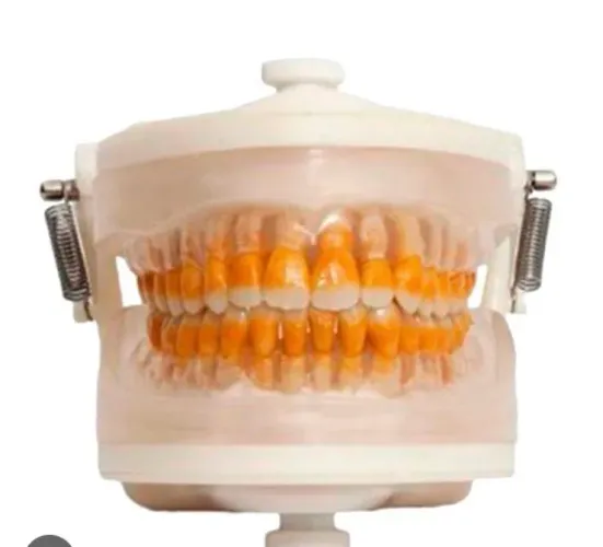 Vendo manequim de perío/dentística pronew