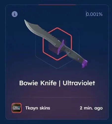 BOWIE KNIFE | ULTRAVIOLET (FIELD -TESTED)