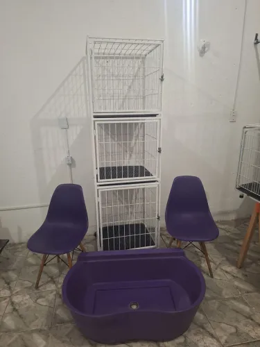 Cadeiras e gaiolas para pet