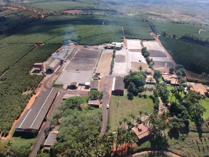 Fazenda de Café -Área total 1.333 hectares -Área com plantio de café 850 Hectares contendo