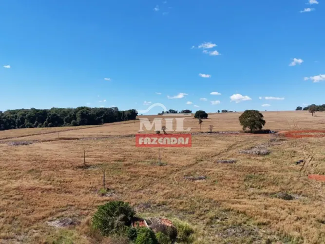Chácara 5 Alqueires (24,20 hectares) Anicuns - GO