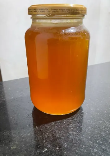 Mel de abelha jataí