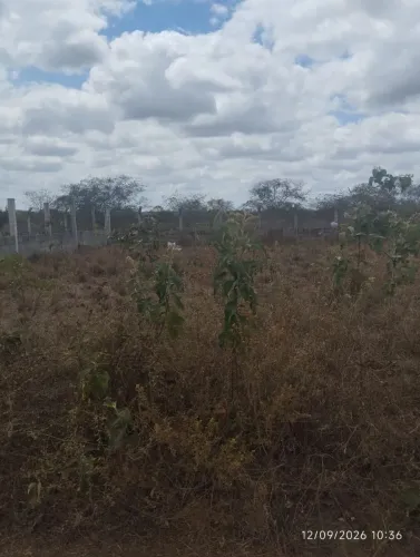 Vendo terreno 15x20, próximo a fazenda nova delli, BR 116 Norte, 1km depois da Balança.