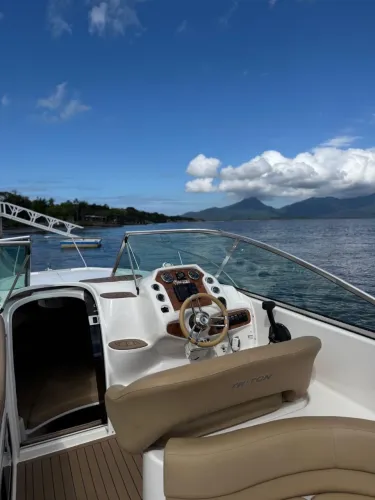 Lancha Triton 275 ano 2018 motor mercury