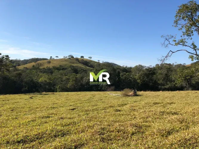 Fazenda de 42 alqueires (207 hectares) - Pires do Rio - Go