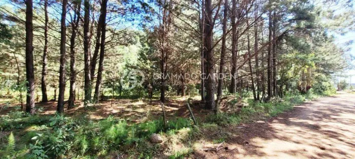 SÍTIO À VENDA, 40000 M² - CARACOL - CANELA/RS