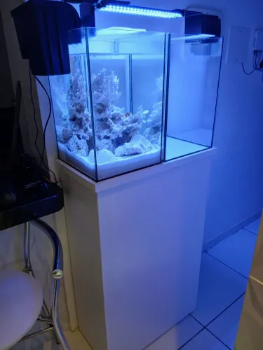 Aquario