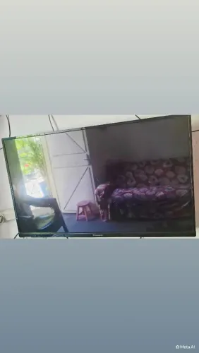 Televisão Panasonic