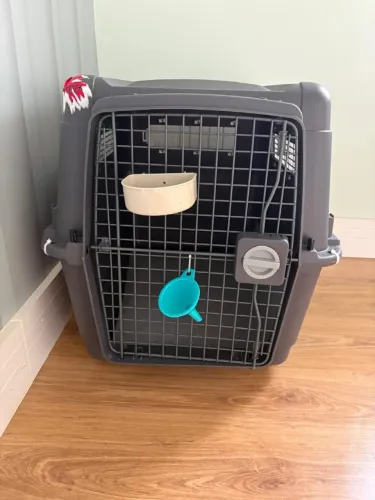 Caixa de transporte para pets