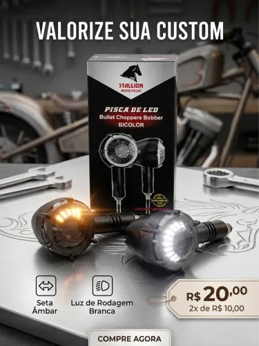 Par de Piscas de LED Automotivos (Setas)