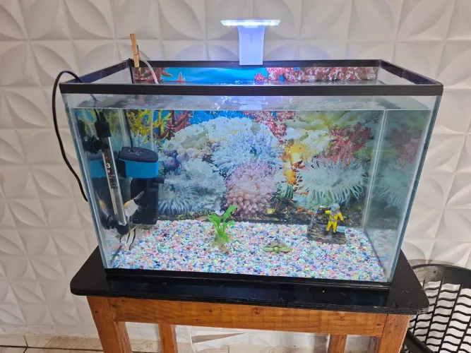 Aquário 50 litro completo