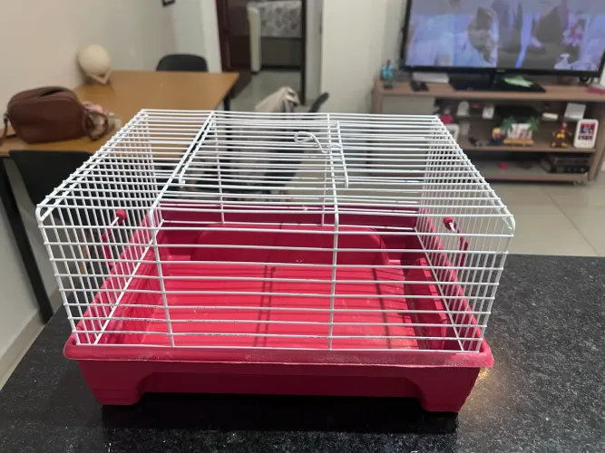 Gaiola para Hamsters