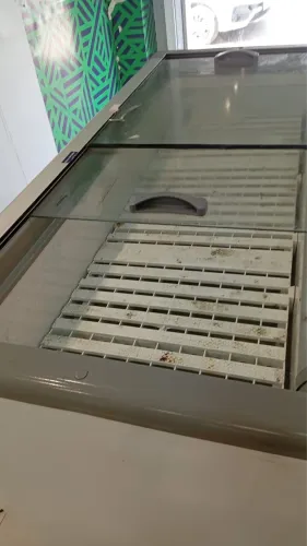 Freezer horizontal
