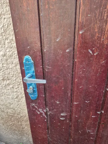 Vendo 