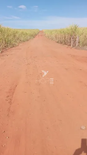 Fazenda à venda com 158 alqueires - 85% aproveitamento - dupla aptidão - beira da rodovia