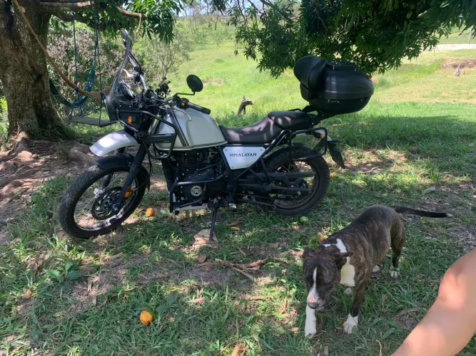 Himalayan 411- Royal enfield- Unico Dono