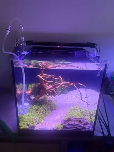 2 Aquários Cubo