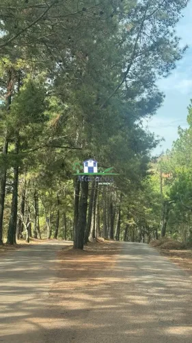lote Sans Souci Macacos