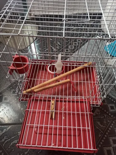 gaiola para calopsita