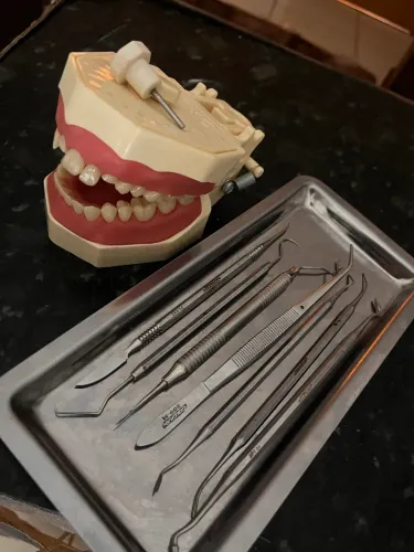 Manequim pro new e materiais odonto