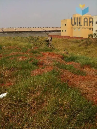 Terreno, 5000 m² - venda por R$ 10.000.000,00 ou aluguel por R$ 30.000,02/mês - Jardim Nov