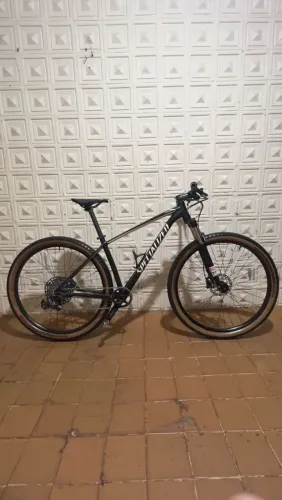 Specialized aro 29 