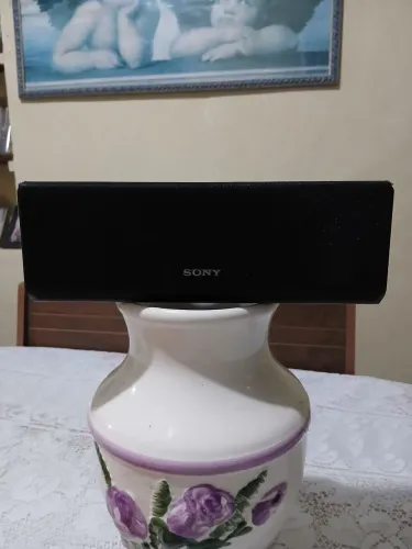 Caixa acústica Sony modelo SS-CNP 1100