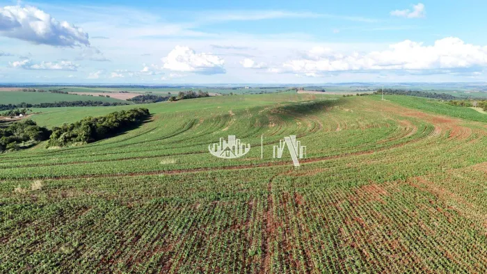 Fazenda à venda, 4065600 m² por R$ 32.000.000,00 - Zona Rural - Cornélio Procópio/PR