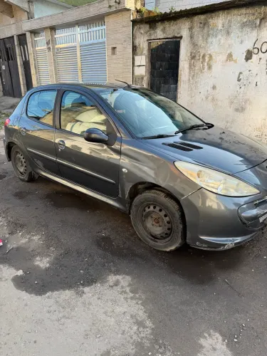 Peugeot 207 XR 1.4 Flex 8V 5P 2012