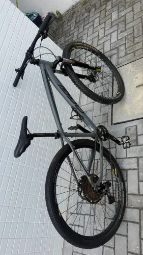 Bicicleta oggi