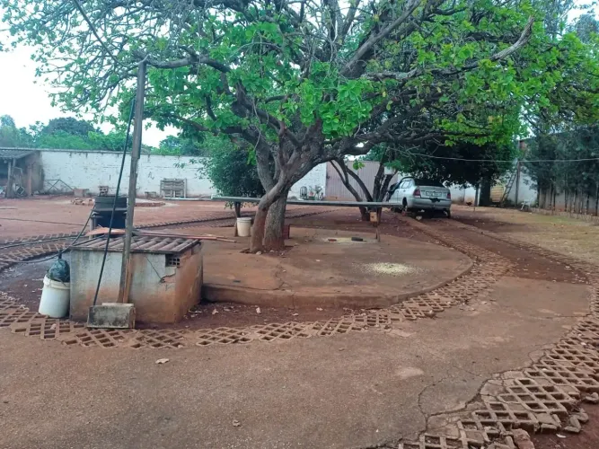 Chácara à Venda com 2.500m² e 3 Quartos  Ampla e Arborizada