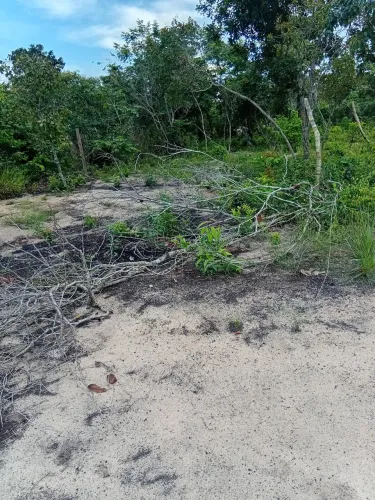 Lote pajuçara 10x30  20.000 reais 