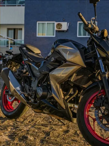 Kawasaki Z300 2018/2019