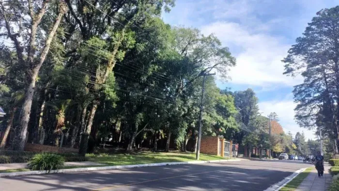 2 quadras natal luz