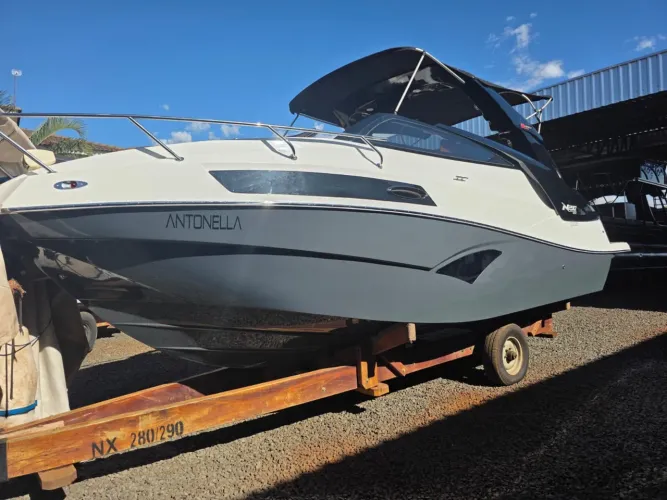 NX 290 2021